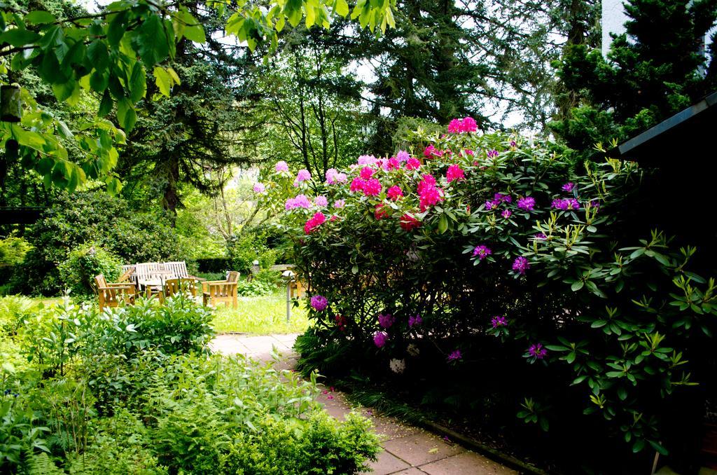 Haus Helvetia Bed & Breakfast Bad Orb Exterior photo
