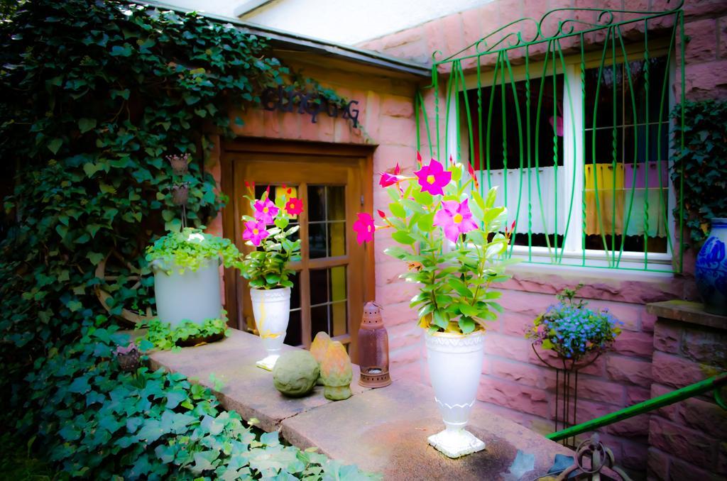 Haus Helvetia Bed & Breakfast Bad Orb Exterior photo